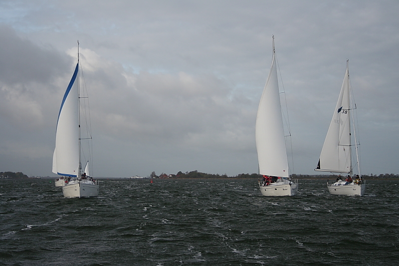 Boddensegeln Segelurlaub